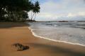 Kribi