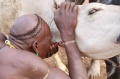 Surma - pitie krvi